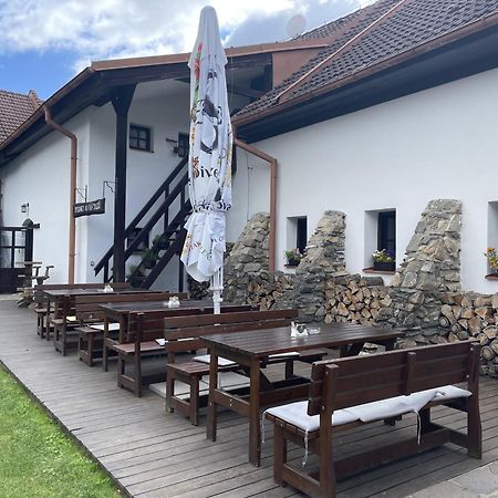 Wellness Hotel Svachovka Mírkovice Exteriör bild
