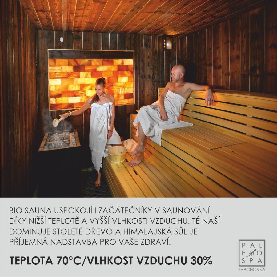 Wellness Hotel Svachovka Mírkovice Exteriör bild